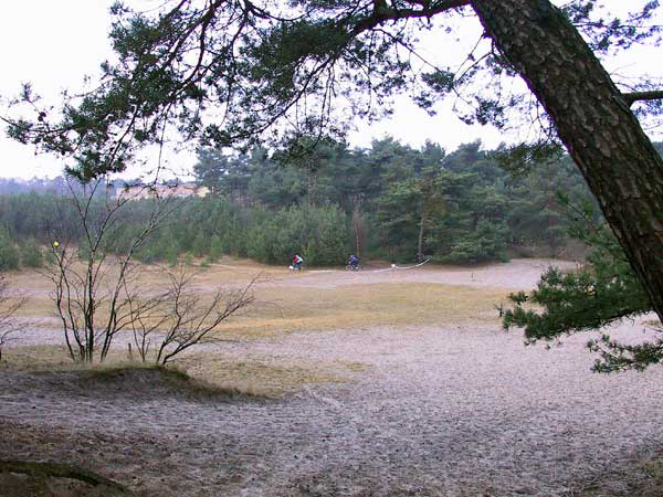 Soesterduinen en een mooie doorkijk